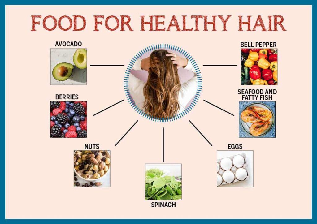 Balanced Diet for Root Hairs Health