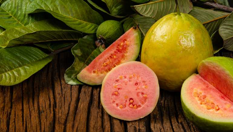  Guava to Prevent Breakage